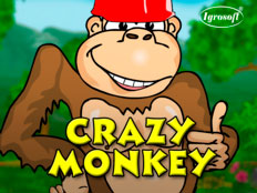 Play Crazy Monkey in Vavada Casino